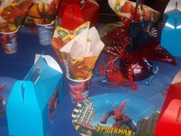 Spiderman Set up 1